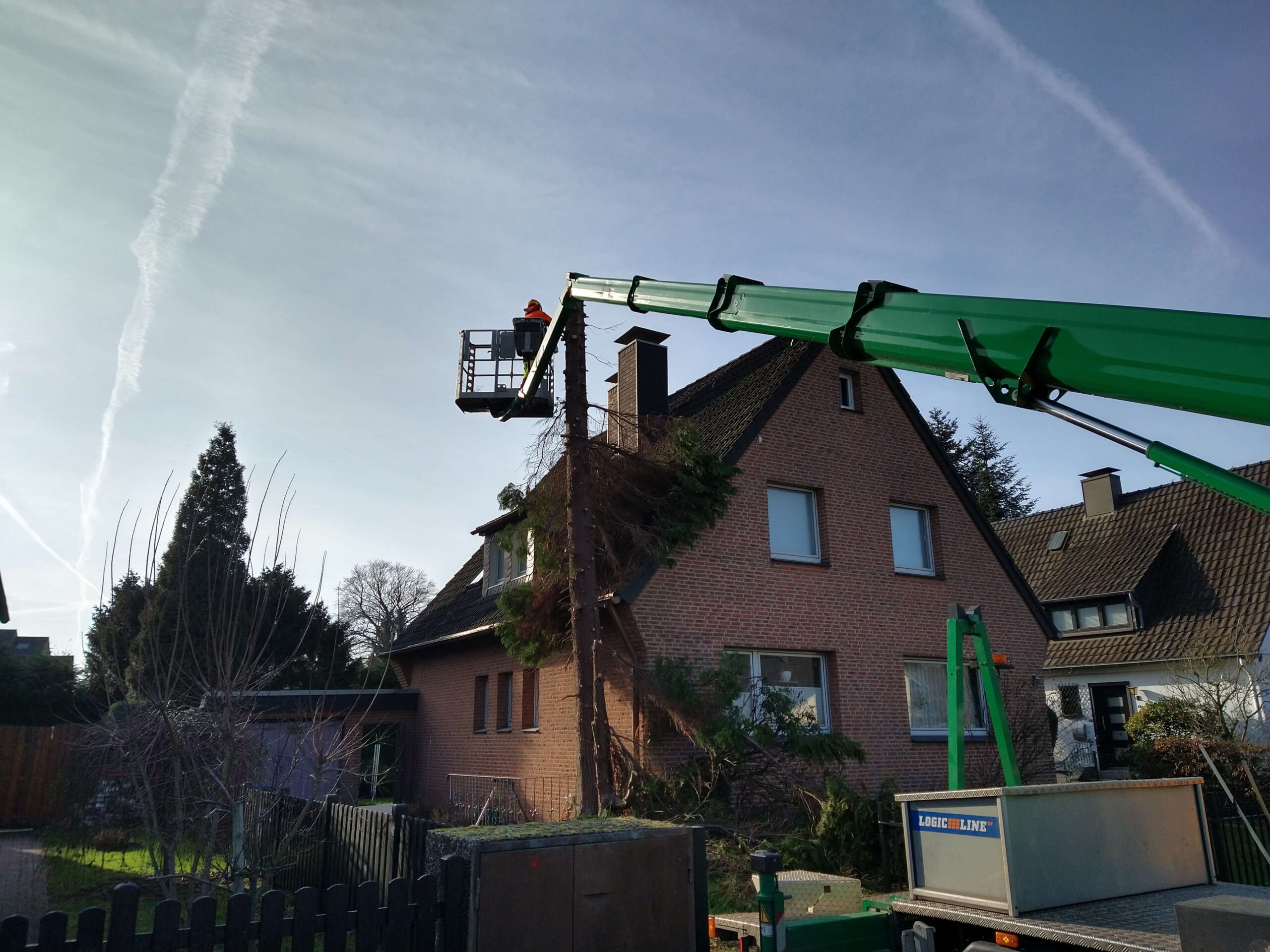 Baumpflege und Baumfällung in Haan